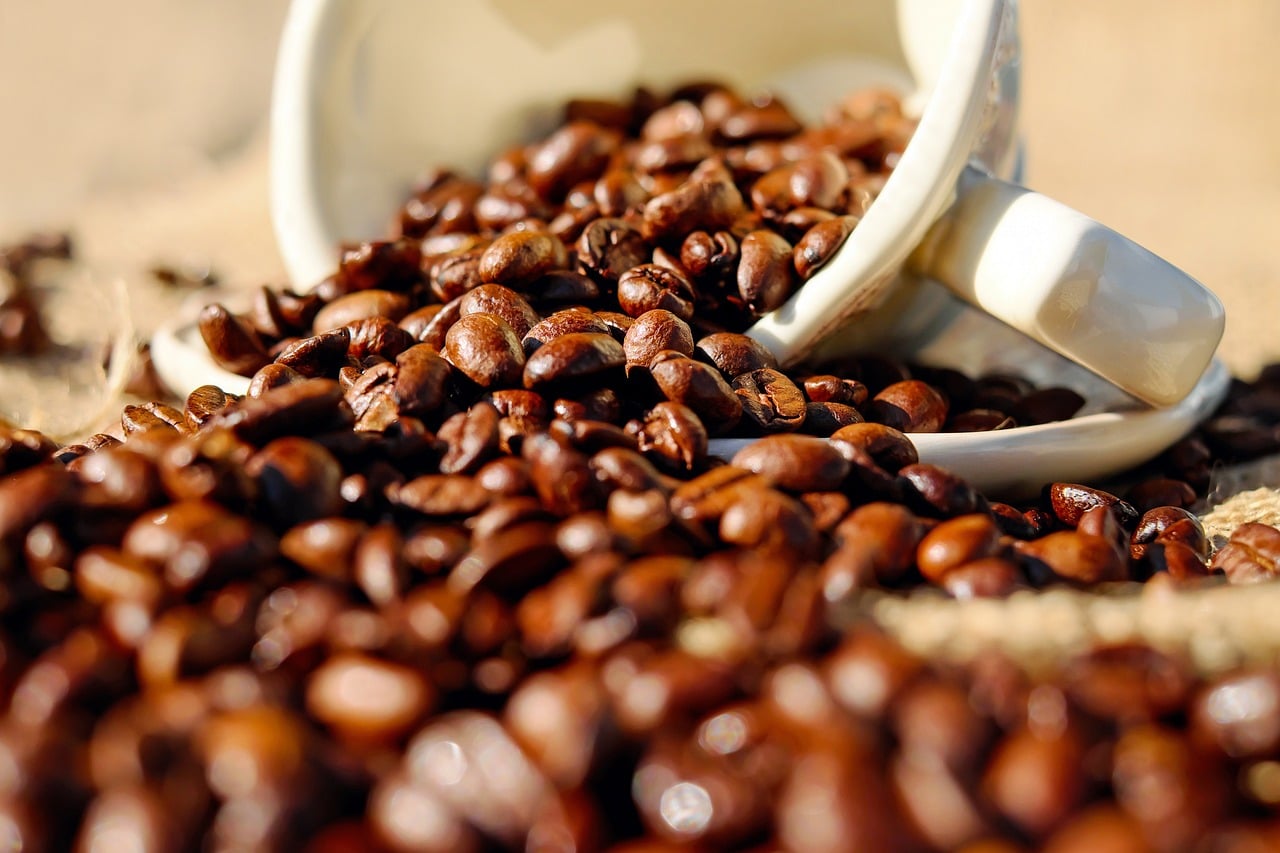 Café arábica corresponde a 67% e café conilon a 33% da produção dos Cafés  do Brasil em 2022 - Revista Cultivar