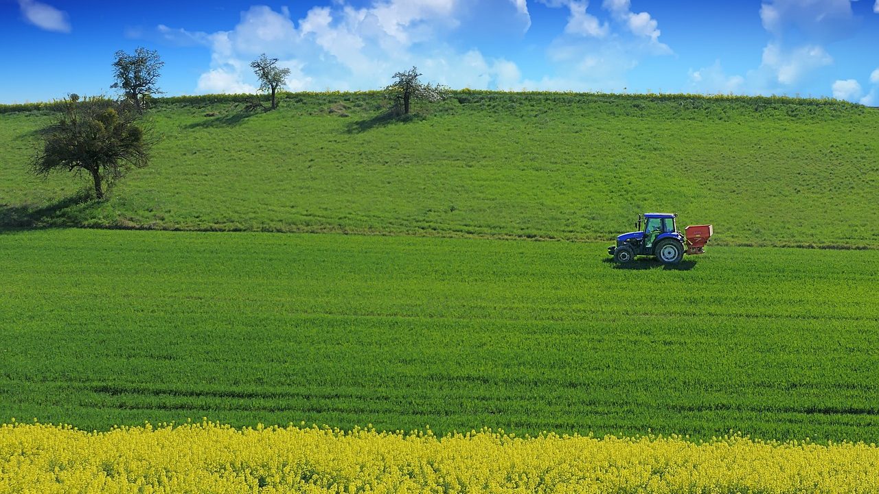Imagem mostra produtor no campo e a importância do hedge no agronegócio