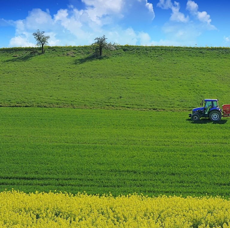 Imagem mostra produtor no campo e a importância do hedge no agronegócio