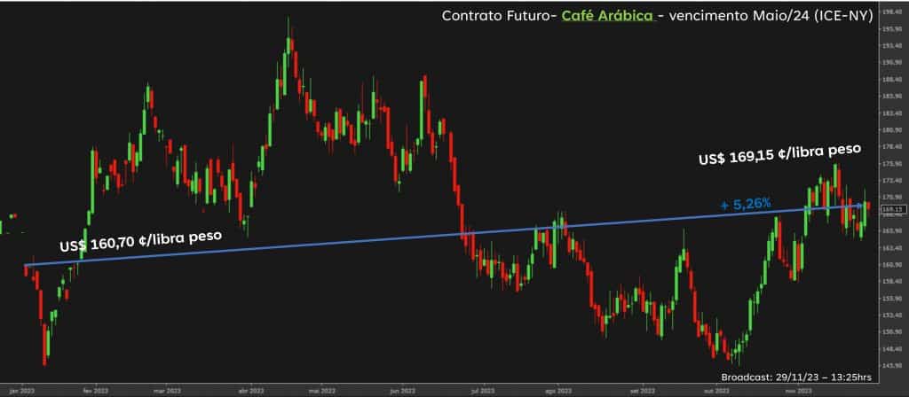 Café arábica e café conilon: diferenças em 2023 fazem sentido?