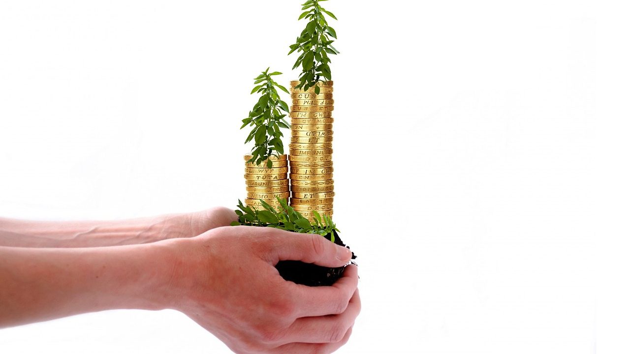 Imagem mostra investidor com moedas nas mãos em alusão aos juros sobre capital próprio