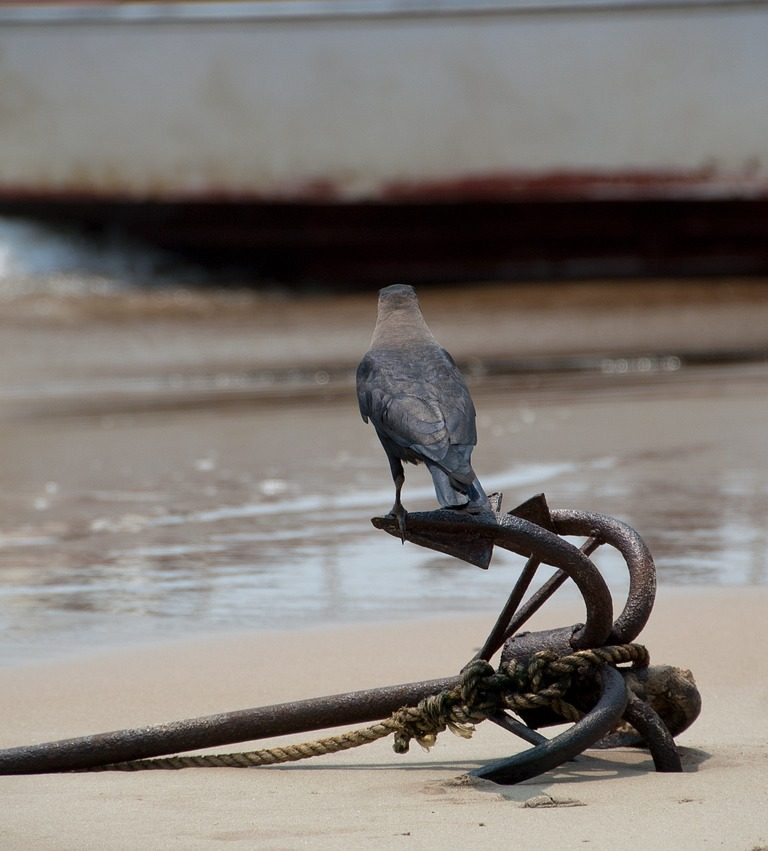 Imagem de âncora na praia remete à ancoragem nos investimentos