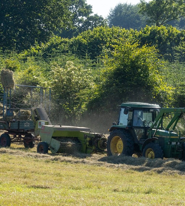 PIB do agro em 2024