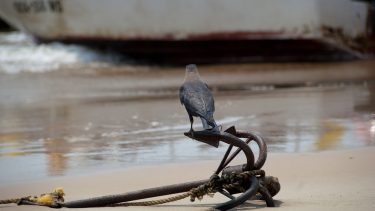 Imagem de âncora na praia remete à ancoragem nos investimentos