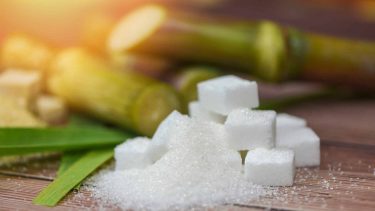 Sugar Week: players debatem tendências para o açúcar em evento global
